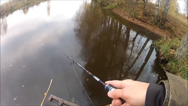 FishComm Shop: Chimera Ardent 110SP. Долгожданная Варуна от Химеры смотреть онлайн