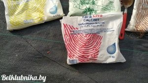 Удобрения для клубники. Что использовать и когда? Belklubnika.by