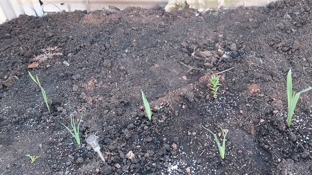 #ВЛОГ Ответы на ваши вопросы. Жизнь в деревне. смотреть онлайн