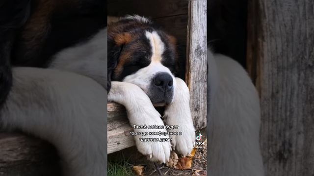 7 июня 2023 г. смотреть онлайн