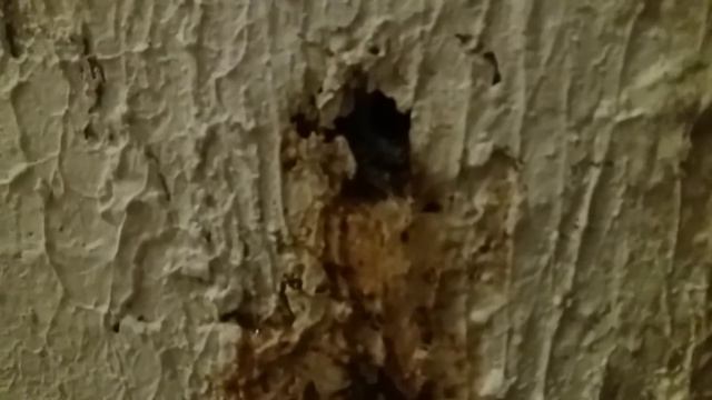 Течь из стены дома в подвале. Опалиха О2.