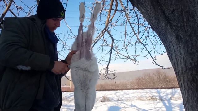 ОБУЧАЮЩЕЕ ВІДИО: ЗАБІЙ КРОЛИКІВ В ДОМАШНІХ УМОВАХ смотреть онлайн