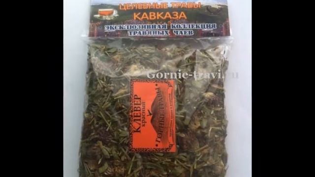 Эхинацея пурпурная Травы Кавказа смотреть онлайн