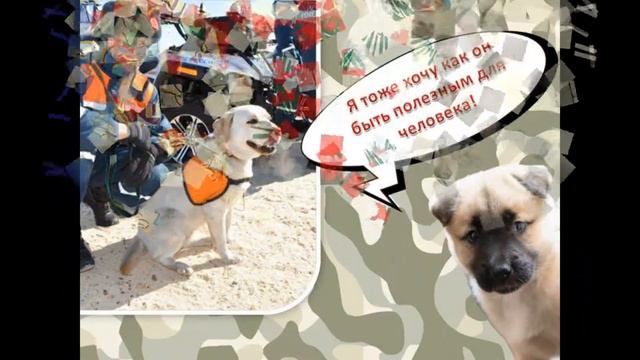 Поздравление нашим мужчинам на 23 февраля 2022. смотреть онлайн