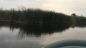 Пожалуй самый дешевый СПИННИНГ для ТВИЧИНГА - DAYO Hippo 7-28G | Обзор + РЫБАЛКА