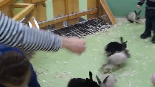 РУЧНОЙ ЗООПАРК смотреть онлайн