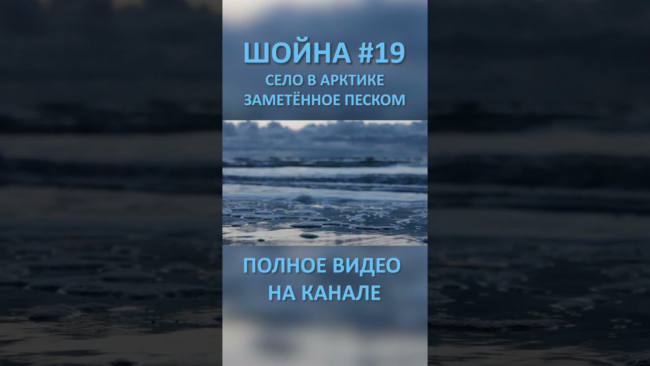 ШОЙНА SHOYNA 19 SHORTS #SHORTS смотреть онлайн