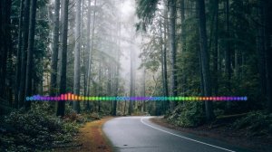 АБИДАТ ШАХБАНОВА - БОЛЬ 2024