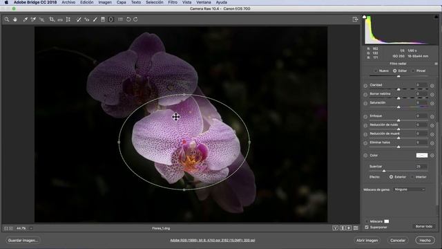 Tutorial Camera Raw Capacitación Esencial # 24 ¿Cómo usar el Filtro Radial?. liclonny смотреть онлайн