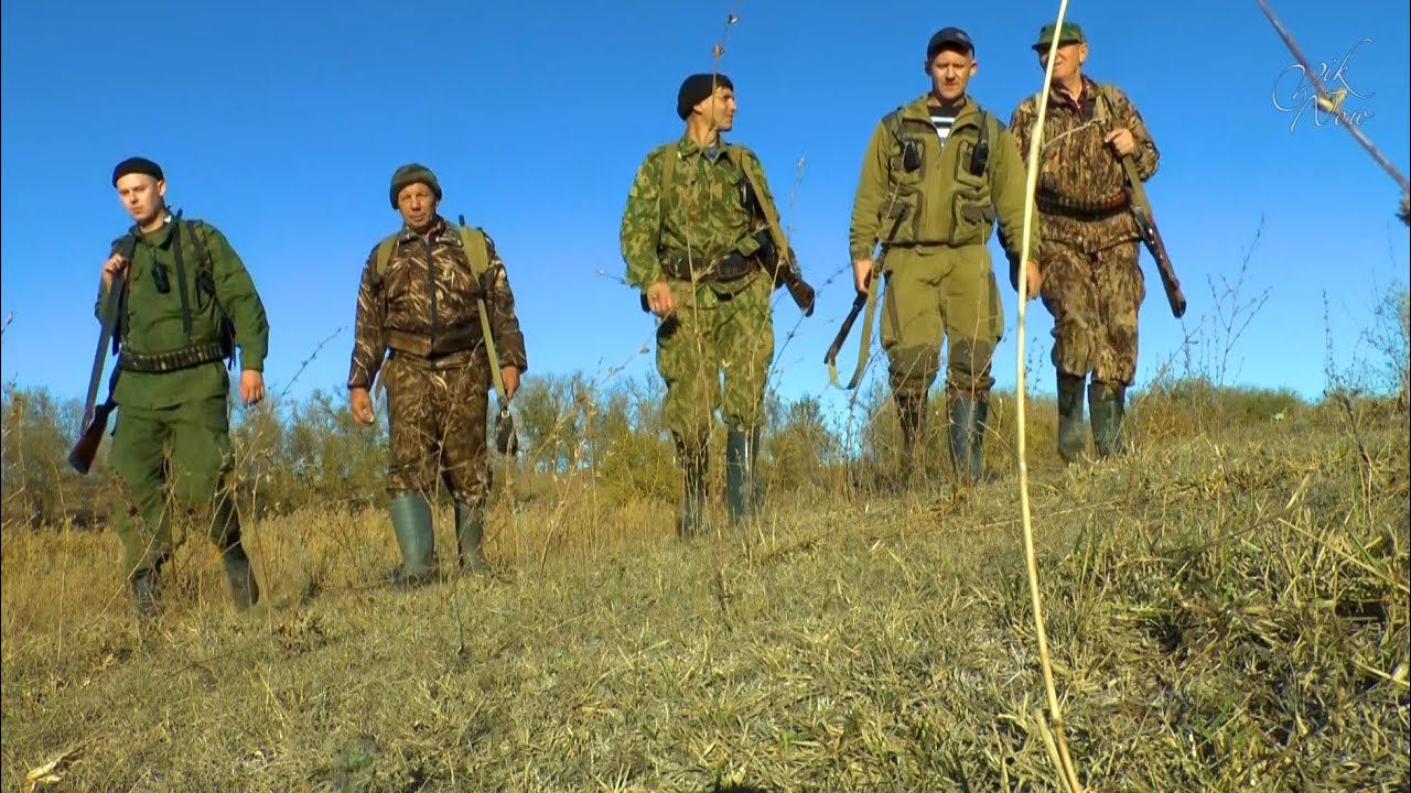 Открытие охоты на зайца ноябрь 2020 год п. Большевик смотреть онлайн