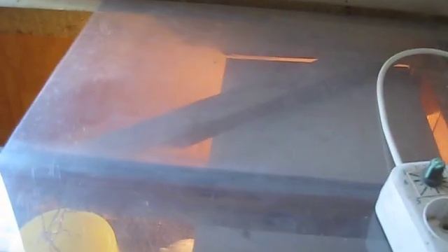 Простой брудер для цыплят своими руками смотреть онлайн