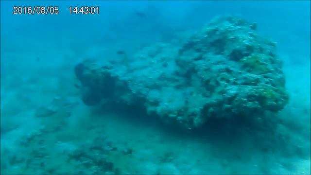 rif duik 05 08 2016 KROATIE SC Valeta смотреть онлайн