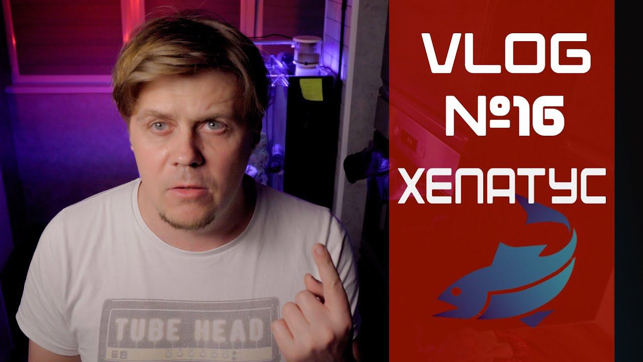 VLOG 16 Хепатус смотреть онлайн