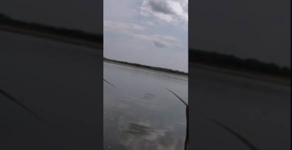 рыбалка на поплавок смотреть онлайн