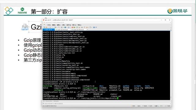 【Nginx】【高级进阶篇】080 Brotli比gzip更好的压缩格式模块化安装 смотреть онлайн