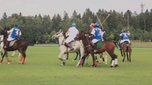 Конное поло / «Целеево Гольф и Поло Клуб» @ТипичнаяМосква