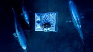 Сплин - Альтависта