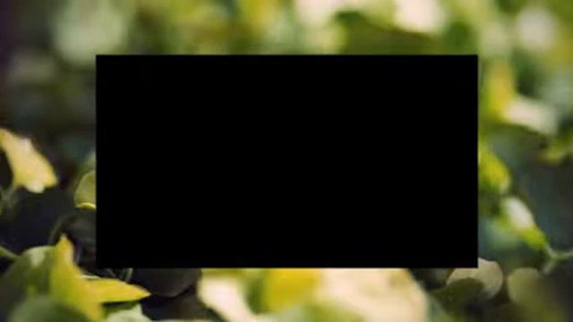 коты не любят мыться  Cats Just Don't Want To Bathe