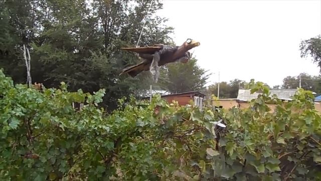 Защита урожая плодов и ягод от птиц смотреть онлайн