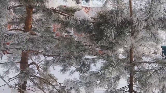 Мороз и солнце.Сумочка из магазина" Россита" смотреть онлайн