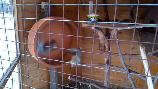 Озеро Карачи. Мороз. смотреть онлайн