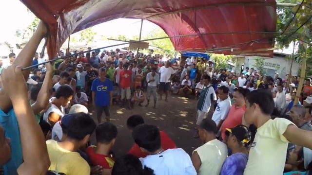 Филиппины. 1part (Philippines.Cebu.Mactan.Oslob.Tumalog Falls.Waterfalls)Себу.Мактан.Своим ходом смотреть онлайн