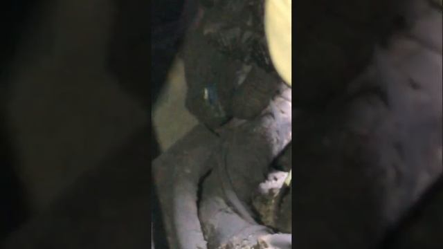 Mercedes sprinter НЕ ЕДЕТ ошибки P0652 и P2BAC! РЕШЕНО! смотреть онлайн