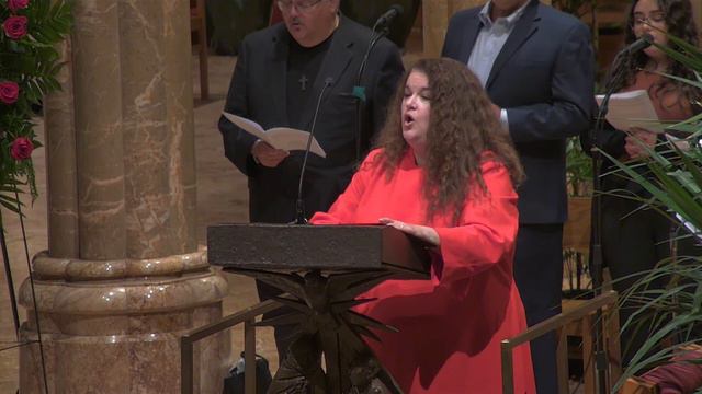 Auxiliary Bishop of Chicago John R. Manz, Funeral Mass, Holy Name Cathedral смотреть онлайн