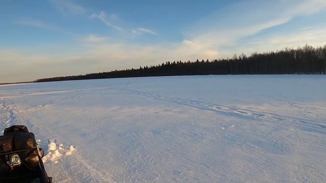 PILIKKIHOMMIA | Tinger Dog Pro смотреть онлайн