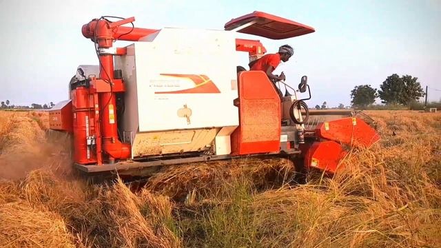 😱 Amazing Lovol RG 108 Plus Rice Harvester in india .||#video смотреть онлайн