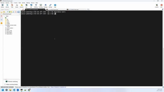 Day 38 DEVOPS LIVE TRAINING September 2023 - Ansible- 2 смотреть онлайн