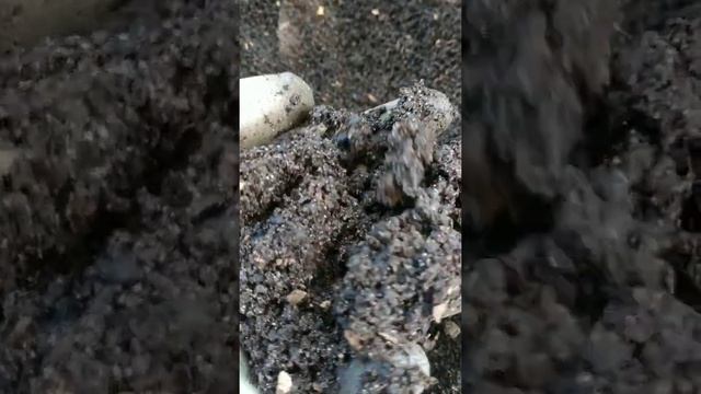 гумус в контейнере смотреть онлайн