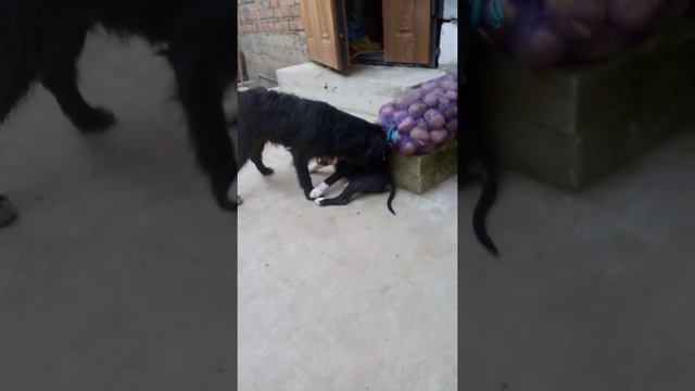 Стаф 3 месєца смотреть онлайн