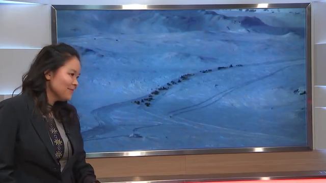 Qanorooq 07.11.2018 смотреть онлайн