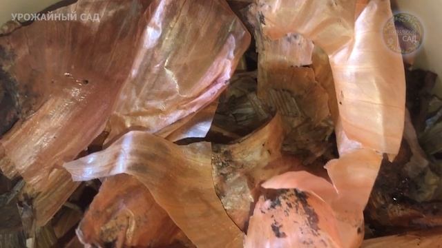 Сделать это удобрение зимой не сложно. Результат потрясающий - все цветет и пышет! смотреть онлайн