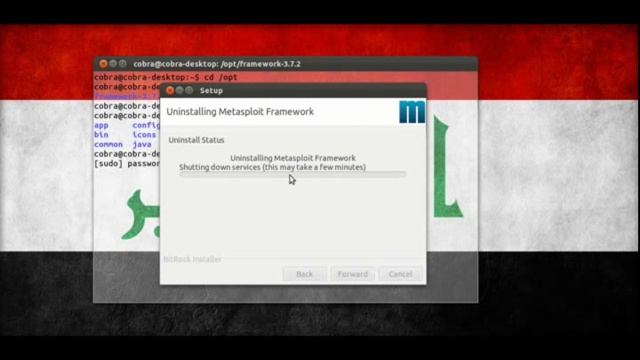 Remove Metasploit From Ubuntu смотреть онлайн