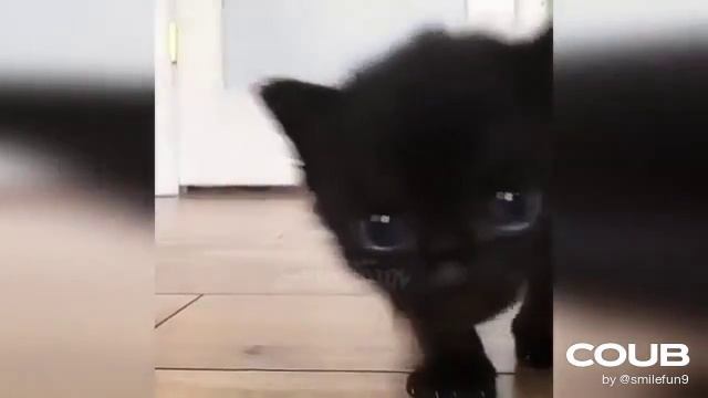 1612690069_looped_1612690068.mp4 смотреть онлайн