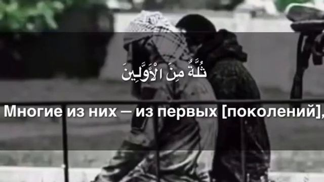 Махди Шишани красивое чтение [Коран 56:10-16] смотреть онлайн