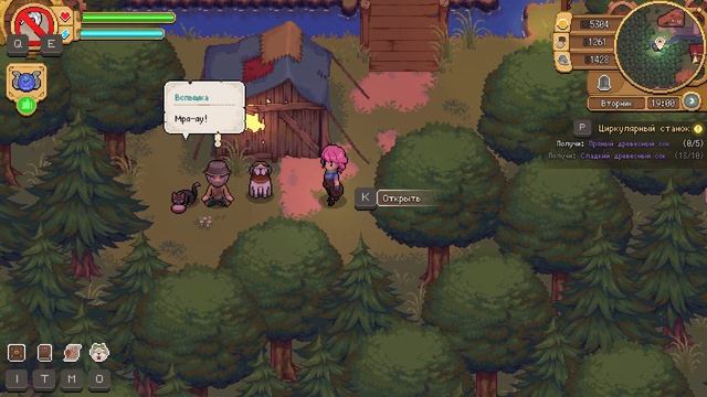 НЕОЖИДАННОЕ СВИДАНИЕ С СЯО [Potion Permit – Прохождение №15]