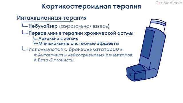 Противоастматические препараты кратко: кортикостероиды, стабилизаторы тучных клеток, омализумаб смотреть онлайн
