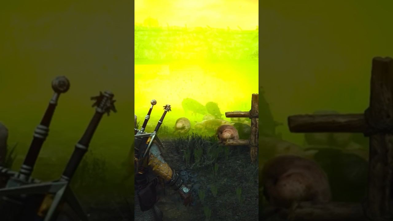 ВСЕ ЕЩЕ АКТУАЛЬНЫЙ СПОСОБ ФАРМА ЗОЛОТА ВЕДЬМАК 3 НА КОНЕЦ 2023 ГОДА смотреть онлайн