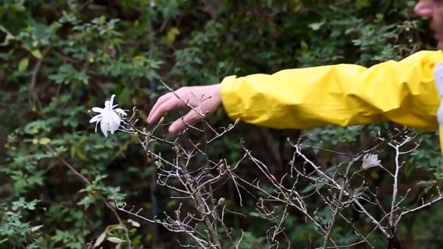 Dockers Men of Style | Cooper Ray смотреть онлайн