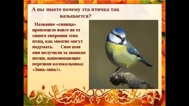 Синичкин день