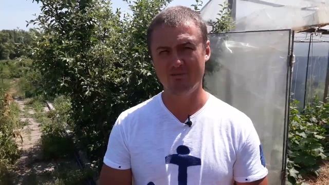 ОСНОВНЫЕ ОШИБКИ ПОДКИСЛЕНИЯ ГОЛУБИКИ смотреть онлайн