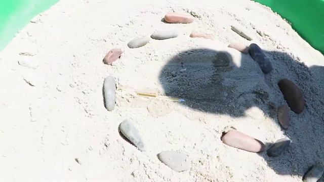 Приключения Дженни Пиратские Сокровища для детей смотреть онлайн