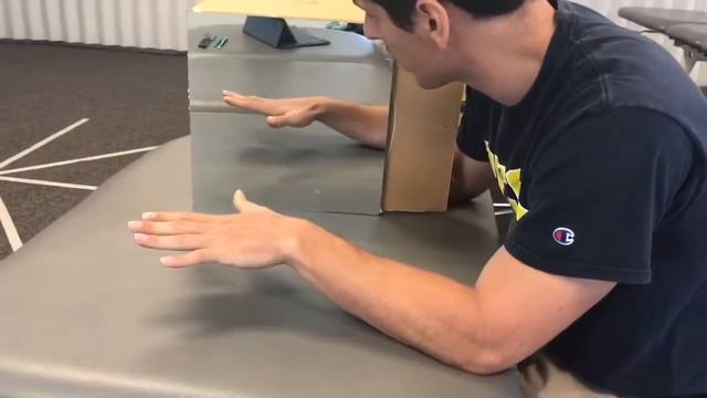 Mirror Box Therapy Instructional Video смотреть онлайн
