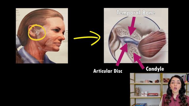 Part 2/2: Mouth Breathing, Forward Head Posture, & TMJD - Priya Mistry, DDS (the TMJ doc) #tmjd смотреть онлайн
