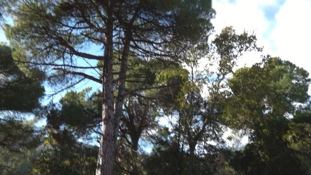 Наша миссия на святой горе Афон в Греции смотреть онлайн