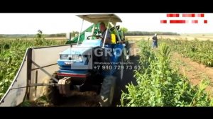 КОМБАЙН ПРИЦЕПНОЙ ДЛЯ СБОРА МАЛИНЫ