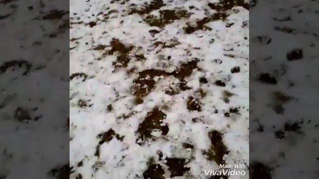 Первый снег в Крыму! смотреть онлайн